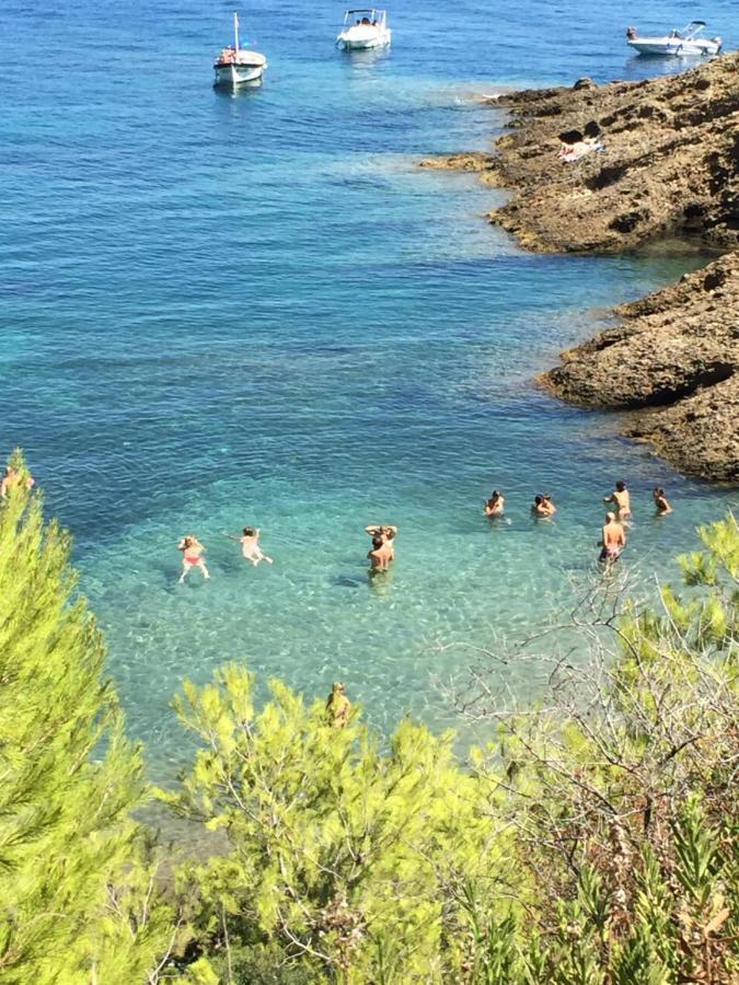 Studio Rocher Bleu Pres Des Plages - Soleil Levant La Ciotat Exteriér fotografie